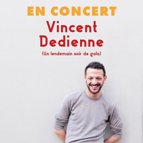 Concert Vincent Dedienne Nantes