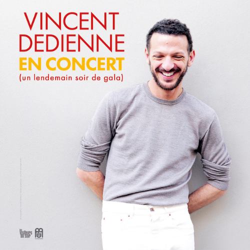 Concert Vincent Dedienne Nantes
