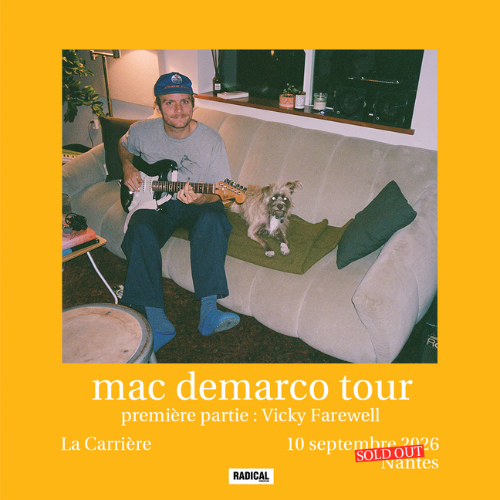 Concert Mac DeMarco Nantes