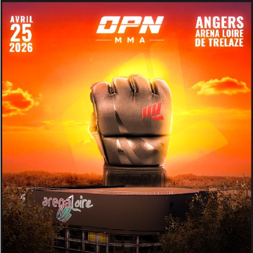 Gala MMA One Punch Night Angers