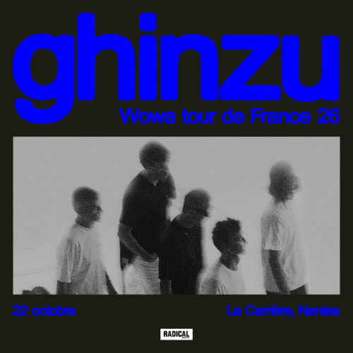 concert Ghinzu Nantes