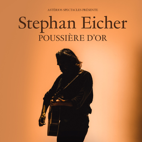 Concert Stephan Eicher Nantes