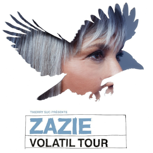 Concert Zazie Angers_nantes